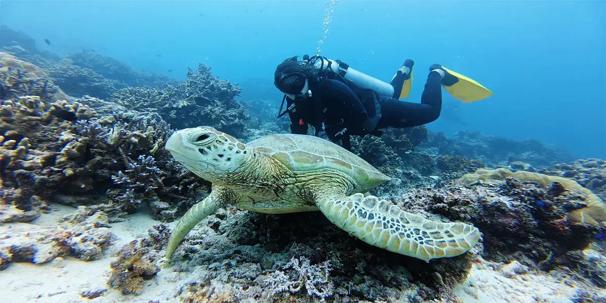 Trip Derawan Maratua 4D3N